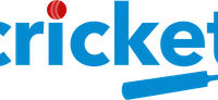 Cricket Mentoring
