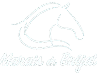 Space Equestrian Du Marais De Bréjat