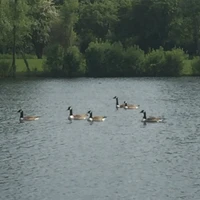 Windsorview Lakes