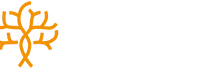Jose Villatobas - Coach - Développement personnel et professionnel chez JV Audit & Coaching