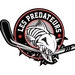 Club Hockey Panthres De St-Jrme