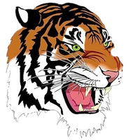 Tigers Shotokan Karate
