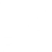 Nimbus Grappling Athletics Club