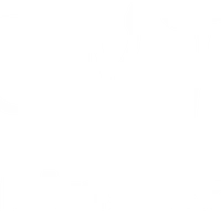 Shentie Martial Arts Academy