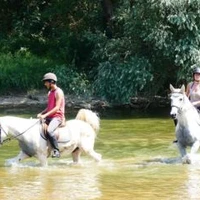 Centre Equestre des Combes