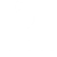 Newcastle Biomechanics