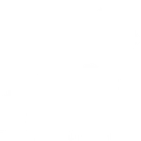 The Body Engineer Personal Trainer