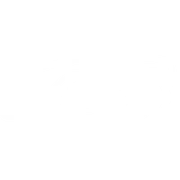 Daytona Outdoor Go-Karting | Sandown Park (Surrey)