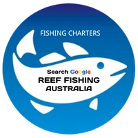 Gold Coast Fishing