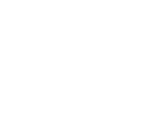 Synergy64