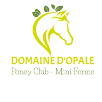 Baptême poney à partir de 4€