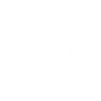Combat Sports Performance