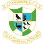 Camborne CC 3/4ths Ground