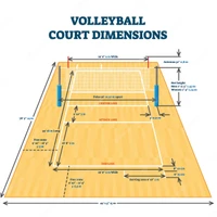 Mole Valley Volleyball Club