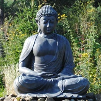 590 YOGA