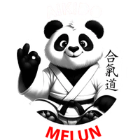 Aikido Melun Enfants Et Adultes