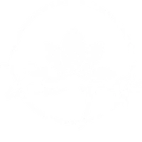 Zero Yoga Komárno & Hormone Yoga Center