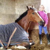 Duffys Equestrian Centre