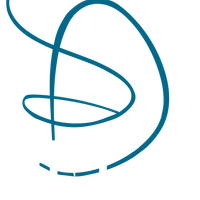 Seda Dance Arts: Adult Dance Studio