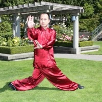 YS Traditional Chinese Medicine and Martial Arts College