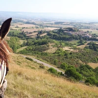Chevaux au Vent
