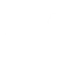 FlyWith Fitness