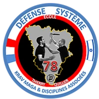 Federation Defense System Krav Maga Et Disciplines Associées