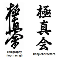 Kyokushin Bushido Karate