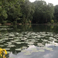 Cheadle Angling Club