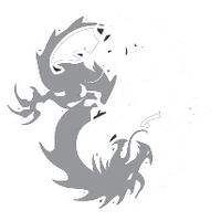 Two Dragons Martial Arts Academy