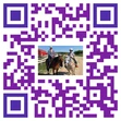 Tumbleweeds Ranch