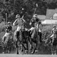 Ranelagh Farm Polo Club