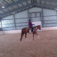 Y NOT FARMS & EQUESTRIAN CENTRE