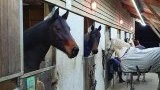 Ar Gwelann Riding