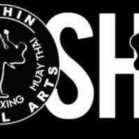 Yoshin Martial Arts