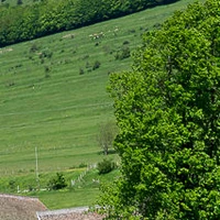 Ecurie Du Serre, Centre Équestre