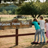 Korohe Horse Treks