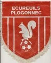 Ecureuils Sportifs de Plogonnec