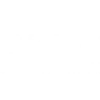 Roche la Molière