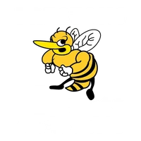 Prestons Hornets Cricket Club