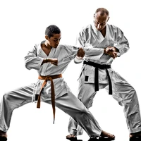 Red Tiger Martial Arts