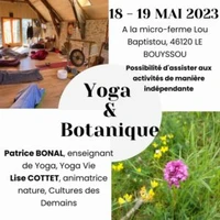 Yoga Sivananda
