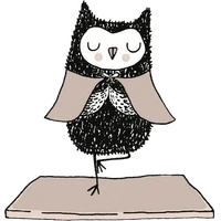 YogaOwl - Ashtanga Yoga, Yoga Iyengar et yoga prénatal à Lyon 7