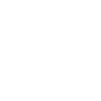Ground Yoga and Integrated Wellness
