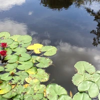 Clearlight Yoga with Lucia Moat