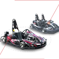 Hampton Downs Go Karts