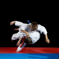 Taekwondo Wolves