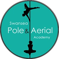 Swansea Pole & Aerial Academy
