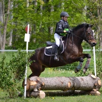 Center Equestrian Of Stalls Du Ga
