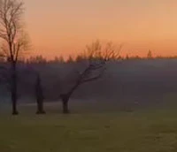 Cullinghood Equestrian Centre